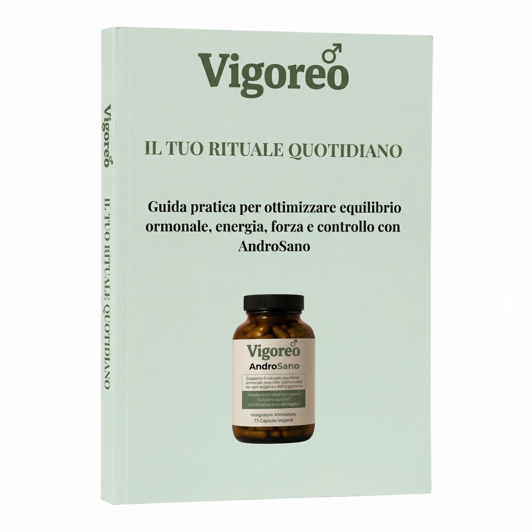 Protocollo Reset Maschile